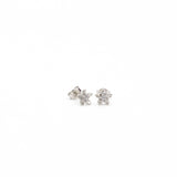 Silver Jasmine Blossom Studs